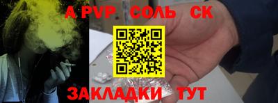 спиды Кингисепп