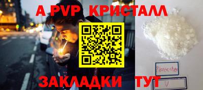 спиды Кингисепп