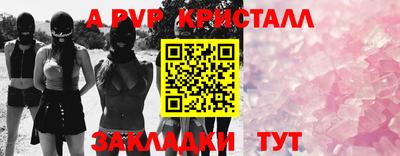 спиды Кингисепп