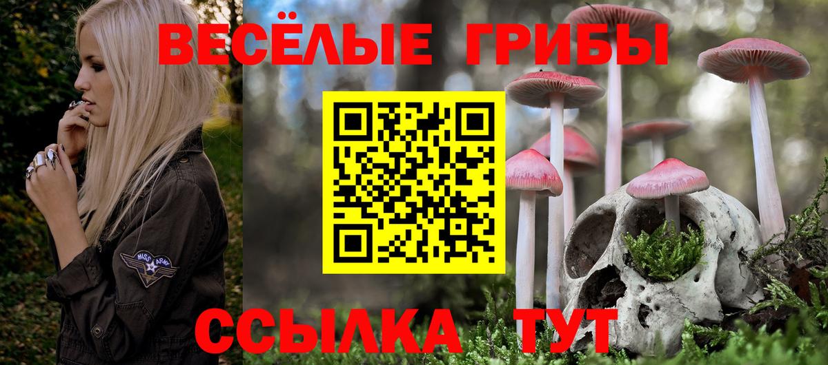 Котельники  Галлюциногенные грибы ЛСД  Вход с VPN 